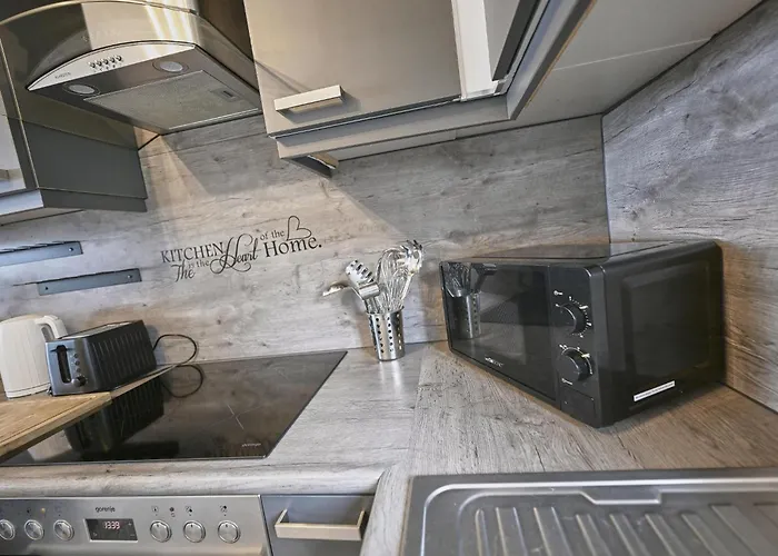 Maaszicht Holiday home Stevensweert